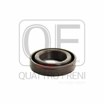 Кольцо уплотнительное колодца свечного <b>QUATTRO FRENI QF53A00017</b>-1