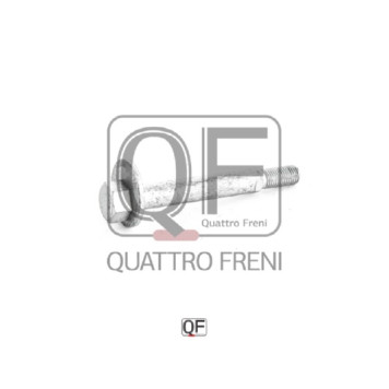 Болт с эксцентриком <b>QUATTRO FRENI QF60D00003</b>