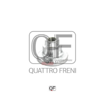 Гайка с эксцентриком <b>QUATTRO FRENI QF60D00004</b>