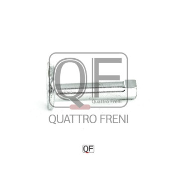 Втулка с эксцентриком <b>QUATTRO FRENI QF60D00005</b>