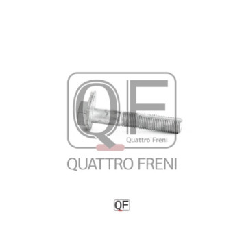 Болт с эксцентриком <b>QUATTRO FRENI QF60D00006</b>