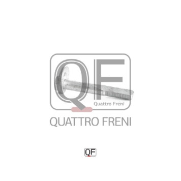 Болт с эксцентриком <b>QUATTRO FRENI QF60D00007</b>