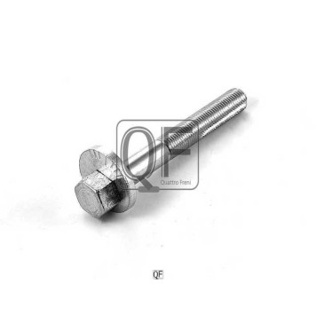 Болт с эксцентриком <b>QUATTRO FRENI QF60D00009</b>