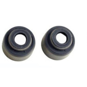 Колпачок маслосъемный V;S-5 (2,7) <b>RAON CDA-001</b>