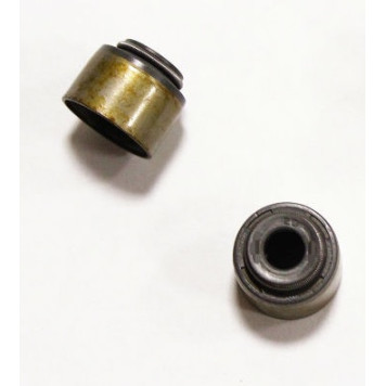 Колпачок маслосъемный S-5 (2,0 выпуск.) <b>RAON CDA-002</b>