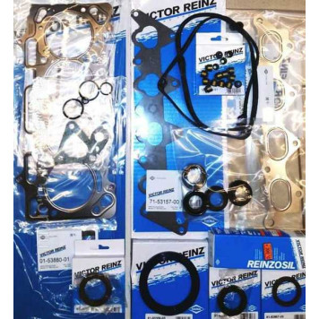 Комплект прокладок двигателя REINZ 01-53880-01-1