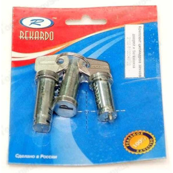 Личинки замков дверей ВАЗ 2102 гол. в БЛУ <b>Рекардо RR03866</b>