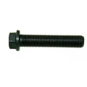 Болт м8 <b>RENAULT 8200425460</b>