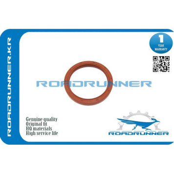 Сальник <b>ROADRUNNER RR12279D0100</b>
