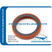 Сальник <b>ROADRUNNER RR-VS01-10-602</b>