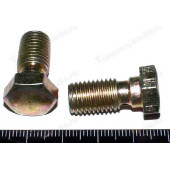 Болт переднего тормозного шланга ВАЗ 2101 <b>РЗИ 21010-3506078-008</b>