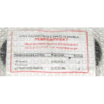 Ремкомплект маятника ВАЗ 2101 <b>Самара 2101-3003094/95</b>-2