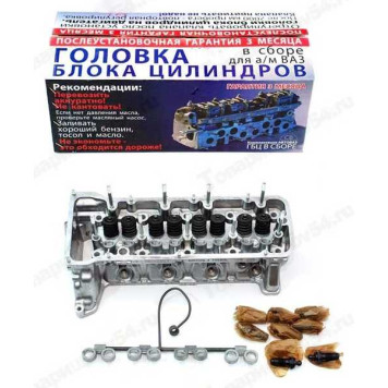 Головка блока цилиндров ,2123 (до 2008г.в.), ВАЗ 2104-07 Евро3 в сборе(с.о.с рамп.и гидрок) <b>Самара 21214</b>
