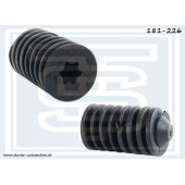 Винт крепления BMW <b>STARKE 181226</b>