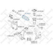 14-17010-SX_пыльник рейки рулевой_ Toyota Camry 2.0 16V2.4 16V3.5 24V 06> <b>STELLOX 1417010SX</b>