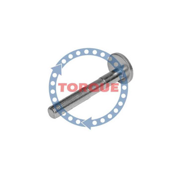 Болт эксцентриковый VW Touareg 2006- Audi Q7- <b>TORQUE CP001</b>