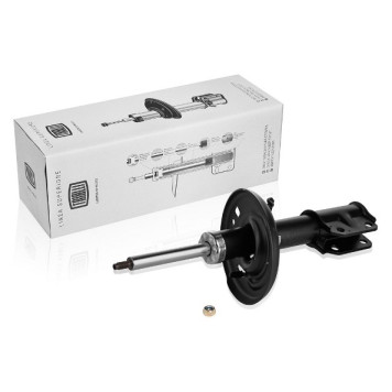 Амортизатор Renault Megane 08- (стойка) пер. газ. <b>TRIALLI AG09056</b>