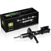 Амортизатор ВАЗ 2108 стойка пер прав. <b>TRIALLI AH 01352</b>