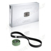 Комплект генератора ВАЗ 2190 с конд ( ремень + ролик) <b>TRIALLI GD 691</b>