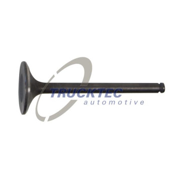 Клапан впускной! \MB Sprinter дв.OM601/602, Vito дв.601, Vario дв.602 <b>TRUCKTEC 02.12.139</b>