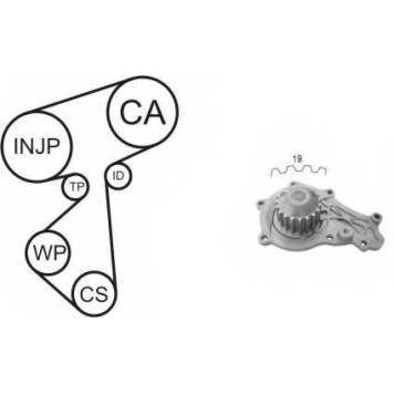 Водяной насос + комплект зубчатого ремня AIRTEX WPK-167801