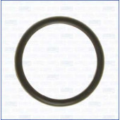 AJUSA 00538100 - прокладка термостата