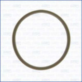 Прокладка впускного коллектора AJUSA 13213400