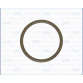 Прокладка впускного коллектора AJUSA 16051000