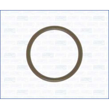 Прокладка впускного коллектора AJUSA 16051000