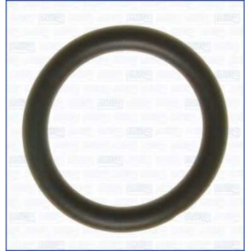 Прокладка впускного коллектора AJUSA 16072600