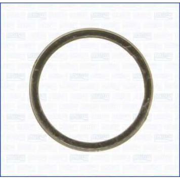 Уплотнительное кольцо выхлопной трубы AJUSA 19001900