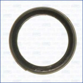 Уплотнительное кольцо выхлопной трубы AJUSA 19002300