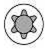 Комплект болтов головки цилидра AMC 258505