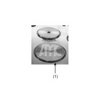 Головка цилиндра AMC 908513-1