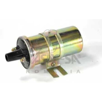 Катушка зажигания ASAM 30050