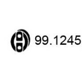 Кронштейн системы выпуска ОГ ASSO 99.1245