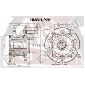 Ступица задняя (1021602226101200260094, китай) 12 <b>ASVA HNWHP2R</b>