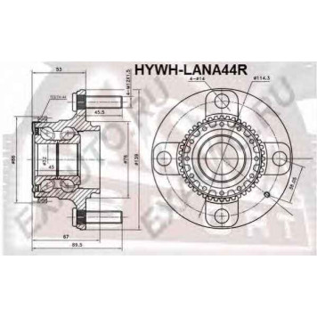 Ступица [12] <b>ASVA HYWHLANA44R</b>