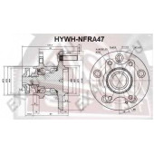 Ступица задняя (10216022/181012/0025216/3, китай) [12] <b>ASVA HYWHNFRA47</b>