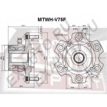 Ступица [12] <b>ASVA MTWHV75F</b>