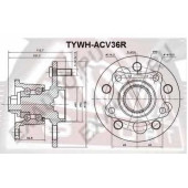 Ступица 12 <b>ASVA TYWHACV36R</b>