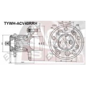 Ступица [12] <b>ASVA TYWHACV40RRH</b>