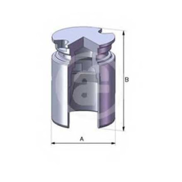 Поршень корпуса скобы тормоза AUTOFREN SEINSA D02523