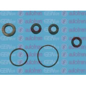 Ремкомплект главного тормозного цилиндра AUTOFREN SEINSA D11102