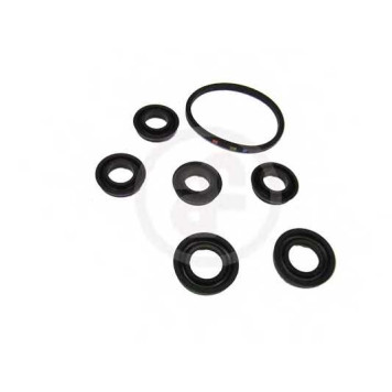 Ремкомплект главного тормозного цилиндра AUTOFREN SEINSA D1160