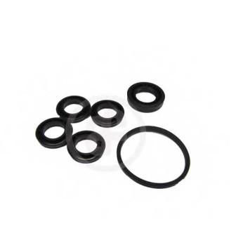 Ремкомплект главного тормозного цилиндра AUTOFREN SEINSA D1167