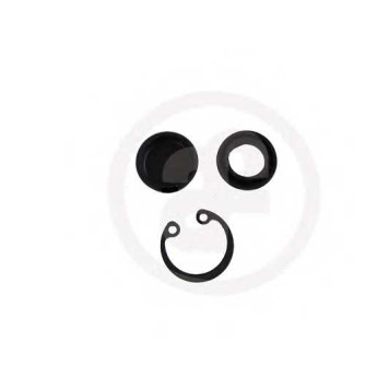 Ремкомплект главного цилиндра AUTOFREN SEINSA D1631