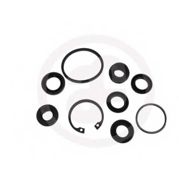 Ремкомплект главного тормозного цилиндра AUTOFREN SEINSA D1652