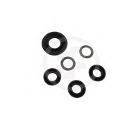 Ремкомплект главного тормозного цилиндра AUTOFREN SEINSA D1700