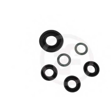 Ремкомплект главного тормозного цилиндра AUTOFREN SEINSA D1700